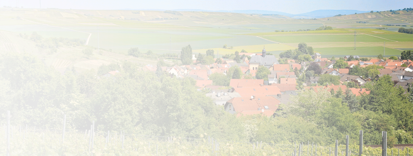 Kommune in Rheinland-Pfalz